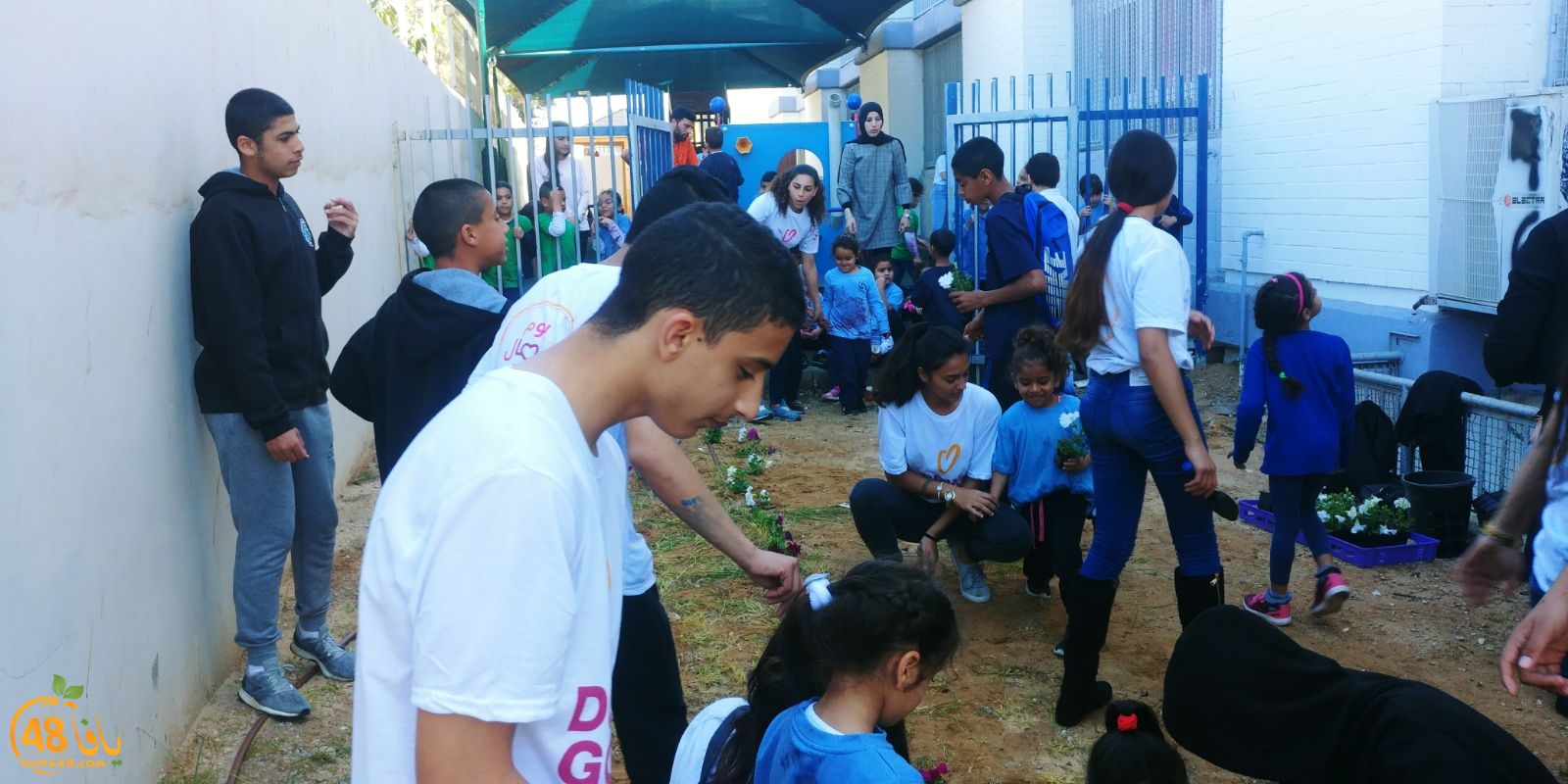 yaffafuture3jhq (9).jpg